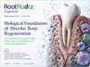 Biological Foundations of Alveolar Bone Regeneration