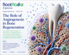 The Molecular Architecture of Dental Stem Cell-Mediated Bone Regeneration