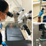 Developed by endodontists for endodontists and for all clinicians practicing microscopic dentistry, ScopeShield™ is a patent-pending universal personal protective device designed for all operating microscopes.