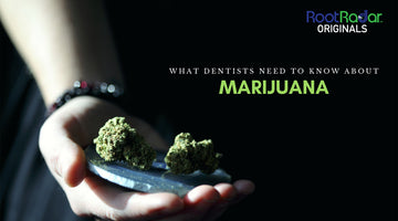 Marijuana use and its relevance to dental practice (Part 1 of a series)